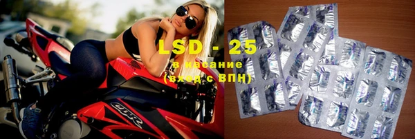 гашик Бежецк