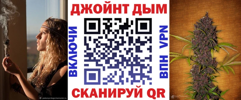 Бошки Шишки планчик  Красково 